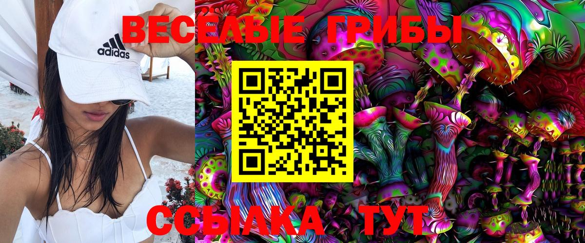 Псилоцибиновые грибы Magic Shrooms  Псилоцибиновые грибы Cubensis  Чайковский  Вход с VPN 