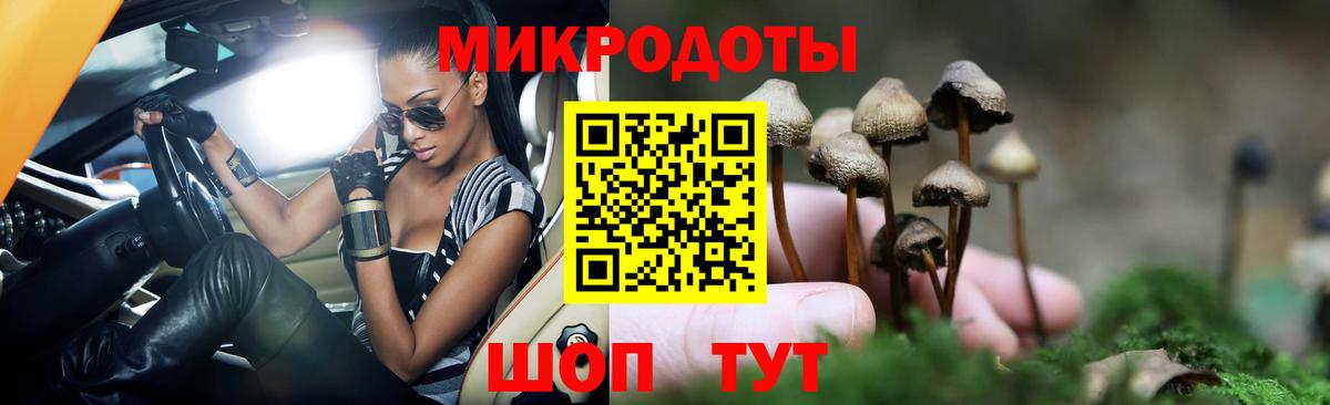 Псилоцибиновые грибы Psilocybe Чайковский